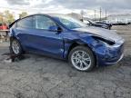 Lot #3301876436 2023 TESLA MODEL Y