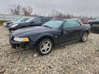 Lot #3297024354 1999 FORD MUSTANG GT