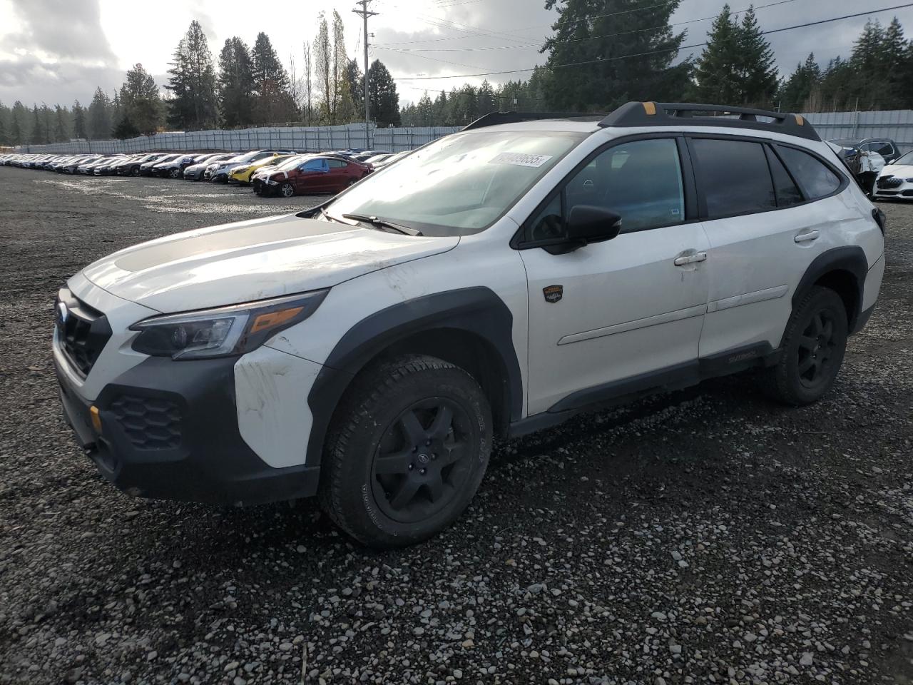 SUBARU OUTBACK WILDERNESS