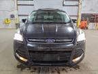 Lot #3312306772 2013 FORD ESCAPE TIT