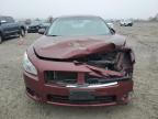 Lot #3293567957 2010 NISSAN MAXIMA S