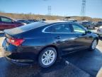 Lot #3292741596 2016 CHEVROLET MALIBU LT