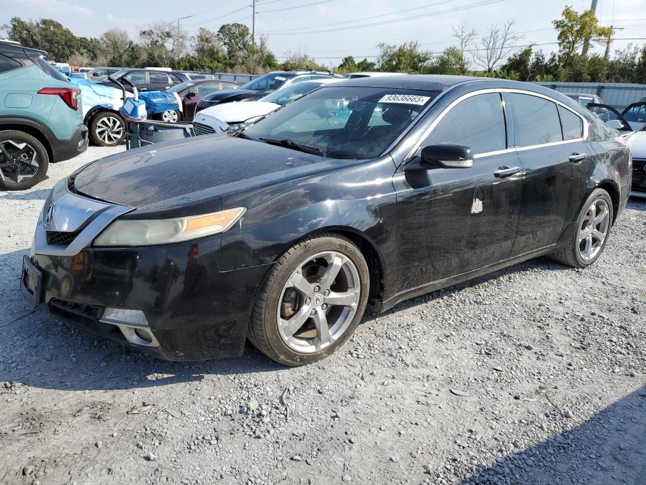Lot #3293291489 2009 ACURA TL