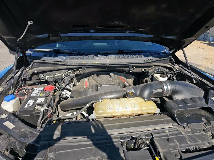 2019 FORD RAPTOR #3279490267