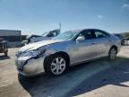 Lot #3297894815 2008 LEXUS ES 350
