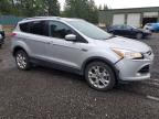 Lot #3305493125 2014 FORD ESCAPE TIT