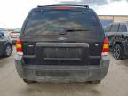 Lot #3305359304 2007 FORD ESCAPE XLT