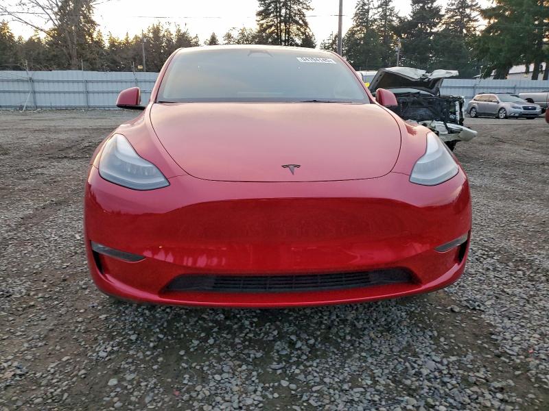 2023 TESLA MODEL Y #3302825942