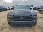 Lot #3296541425 2013 FORD MUSTANG