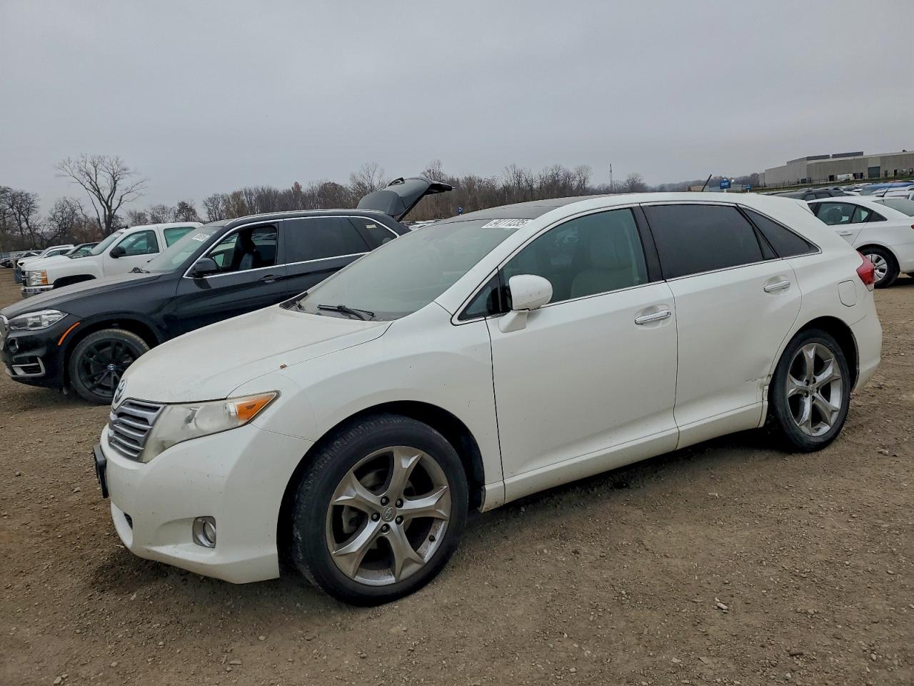 TOYOTA VENZA