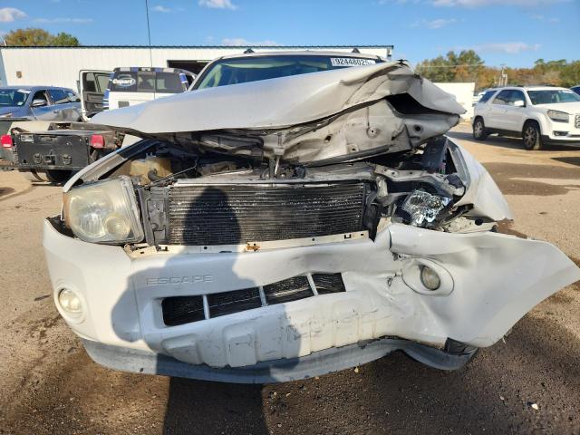 2011 FORD ESCAPE XLT #3294462505