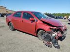Lot #3292326290 2010 TOYOTA COROLLA BA