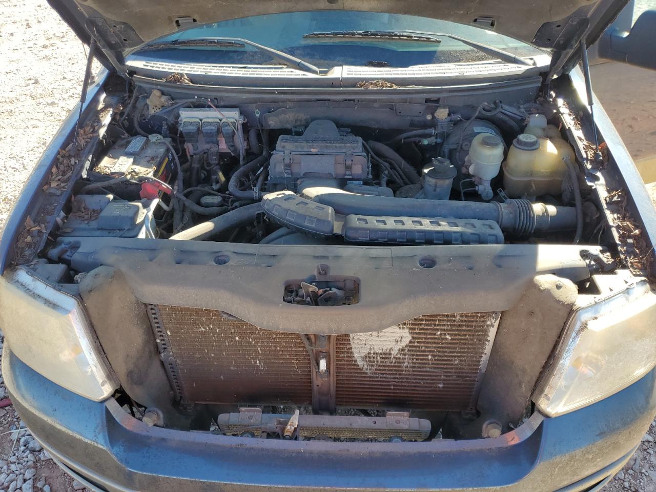 Lot #3309183621 2005 FORD F150