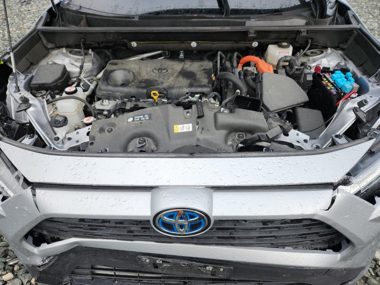 TOYOTA RAV4 XLE PREMIUM