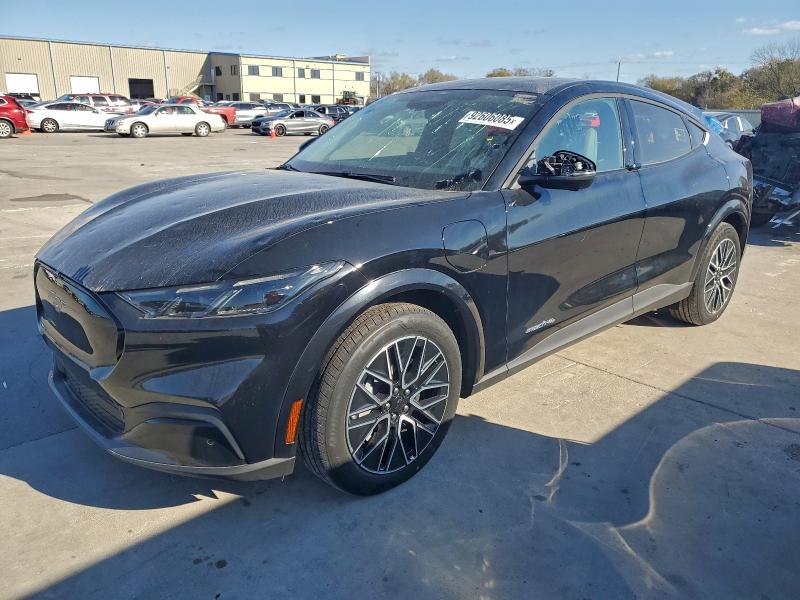 Global Auto Auctions: 2025 FORD MUSTANG MA