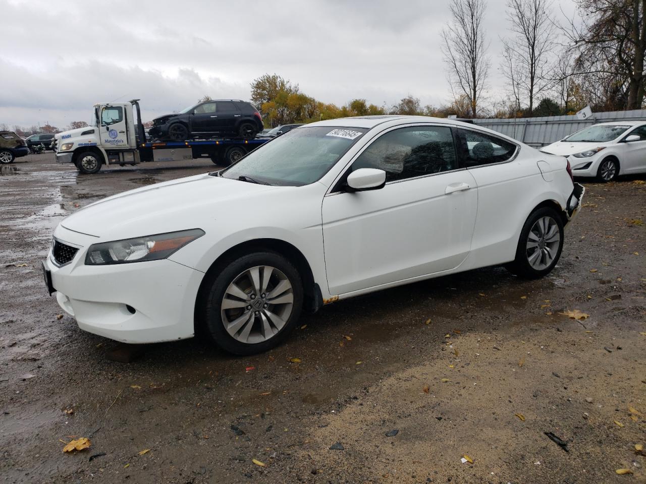 HONDA ACCORD EXL