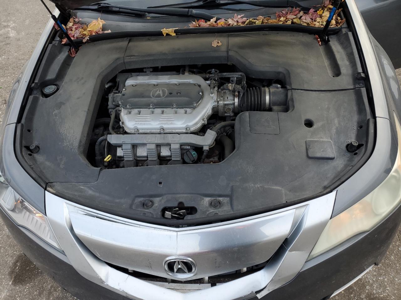 Lot #3293331425 2009 ACURA TL