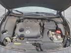 Lot #3304714927 2014 NISSAN MAXIMA S