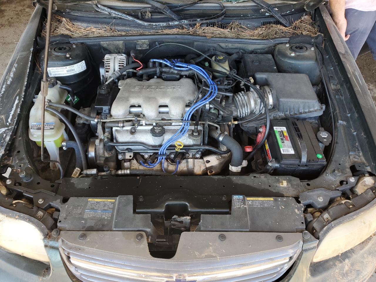 Lot #3287670010 2003 CHEVROLET MALIBU