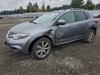 Lot #3304550461 2014 NISSAN MURANO S