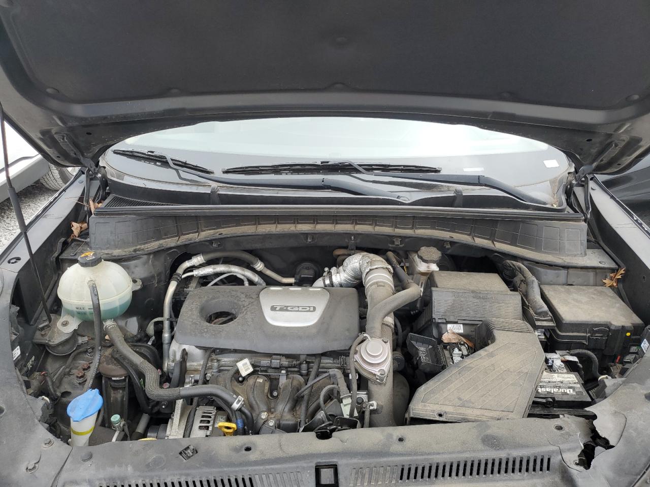 Lot #3317945910 2016 HYUNDAI TUCSON LIM