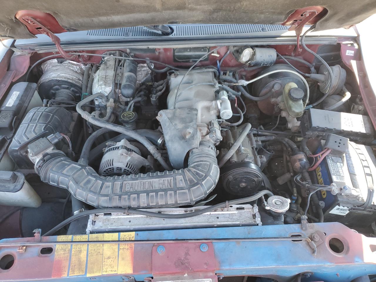 Lot #3301847361 1994 FORD RANGER