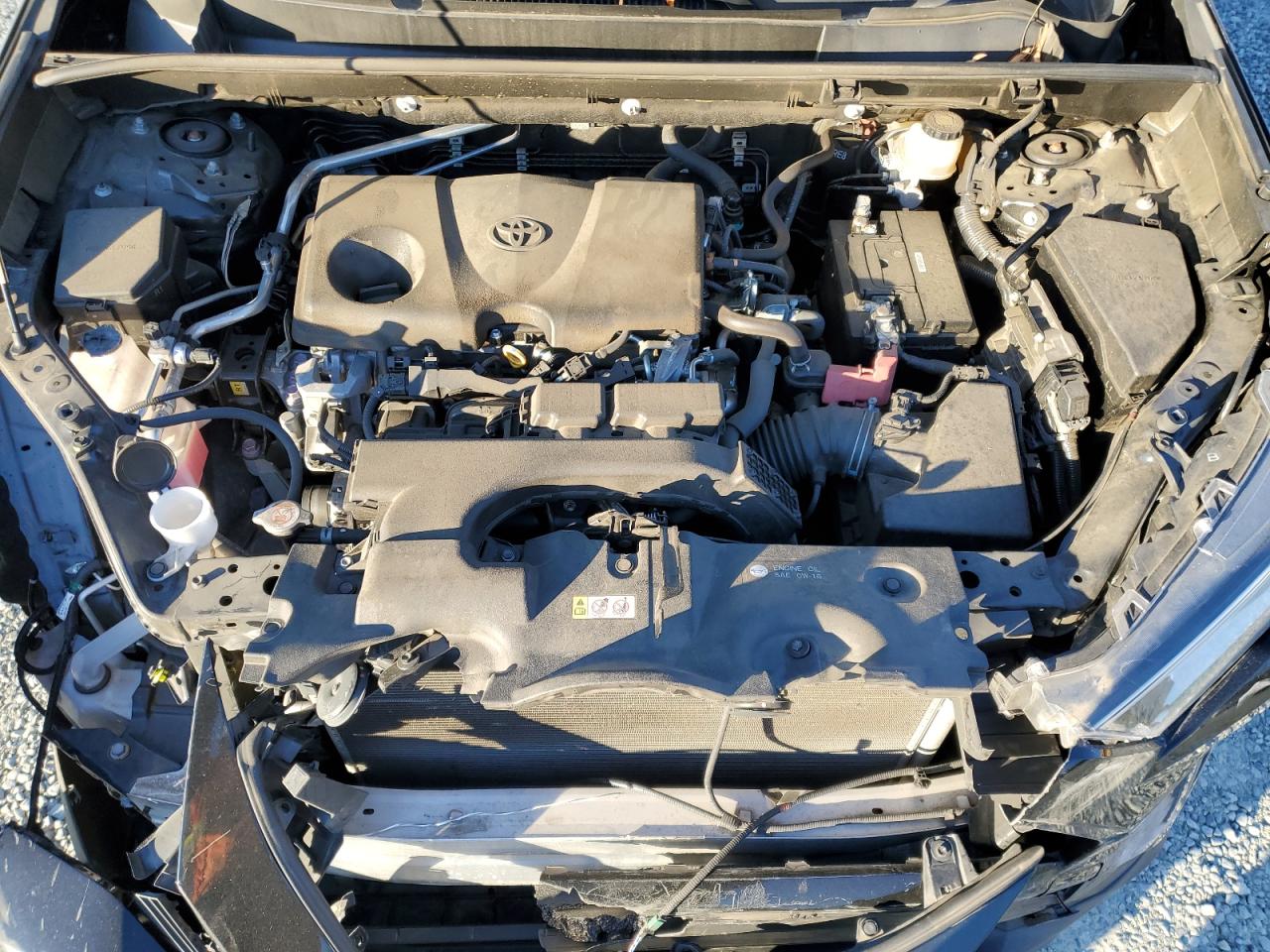 Lot #3308502050 2019 TOYOTA RAV4 XLE