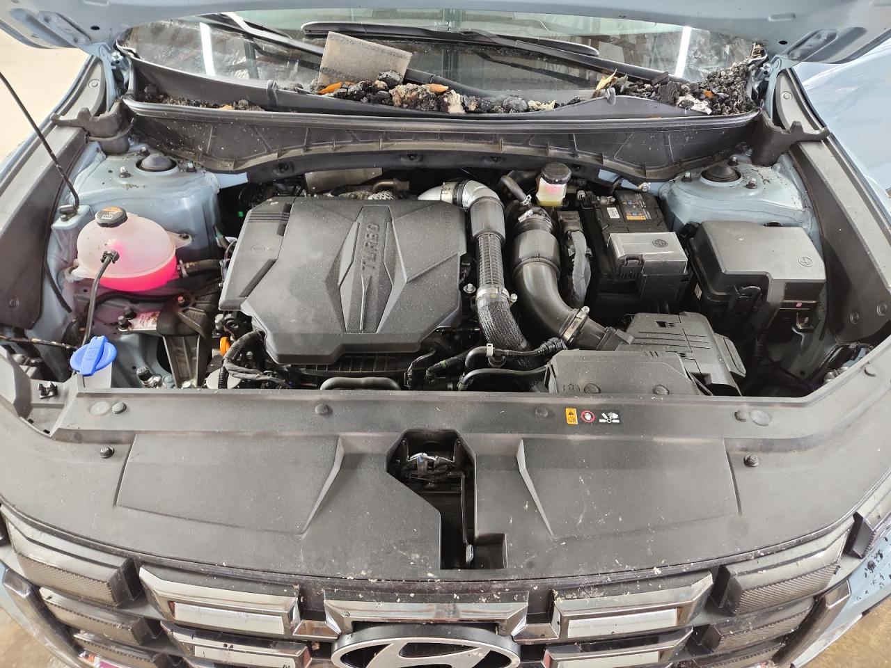 HYUNDAI SANTA CRUZ LIMITED