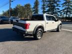 Lot #3296911843 2020 FORD F150 RAPTO