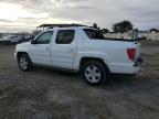 Lot #3305329326 2009 HONDA RIDGELINE