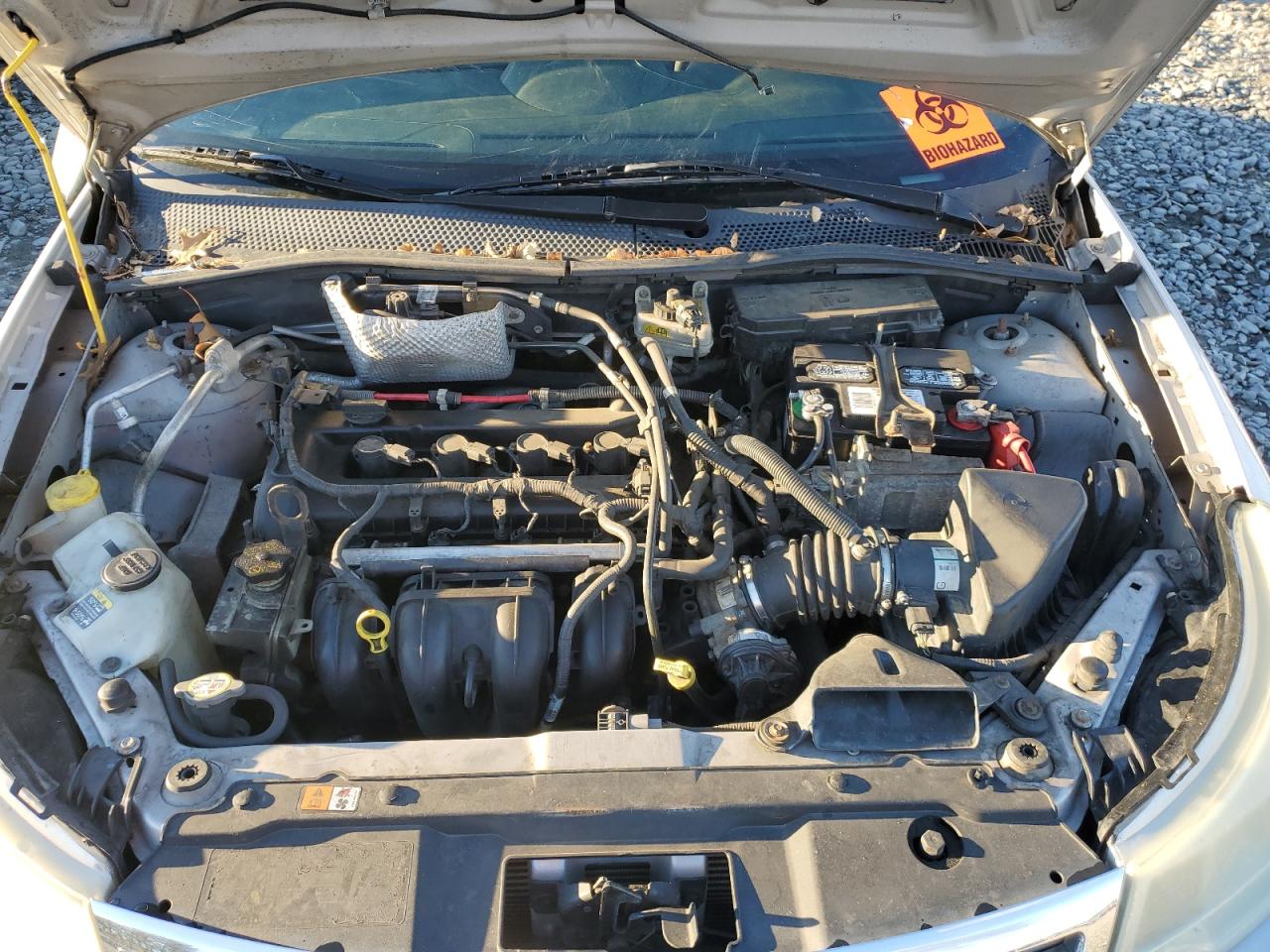 Lot #3309268617 2010 FORD FOCUS SEL