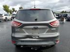 Lot #3301933514 2014 FORD ESCAPE SE