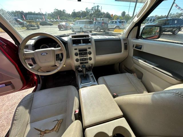 2010 FORD ESCAPE XLT #3303944714