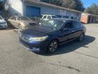 Lot #3293402065 2013 HONDA ACCORD LX