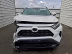 Lot #3312781090 2025 TOYOTA RAV4 XLE
