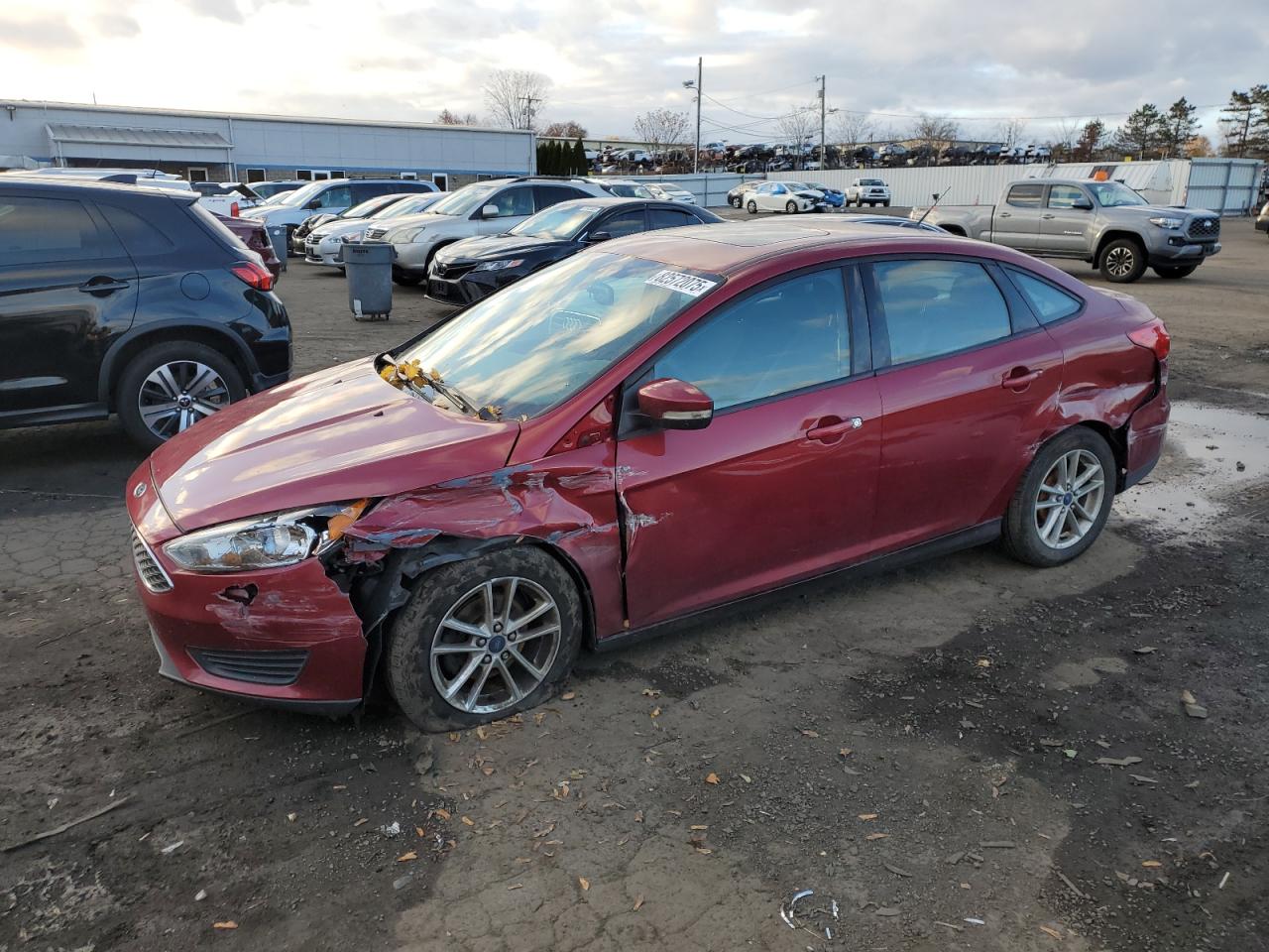 Lot #3312423637 2016 FORD FOCUS SE