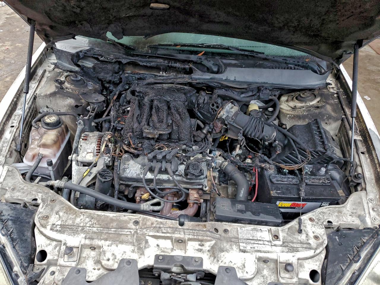 Lot #3301819423 2007 FORD TAURUS SEL