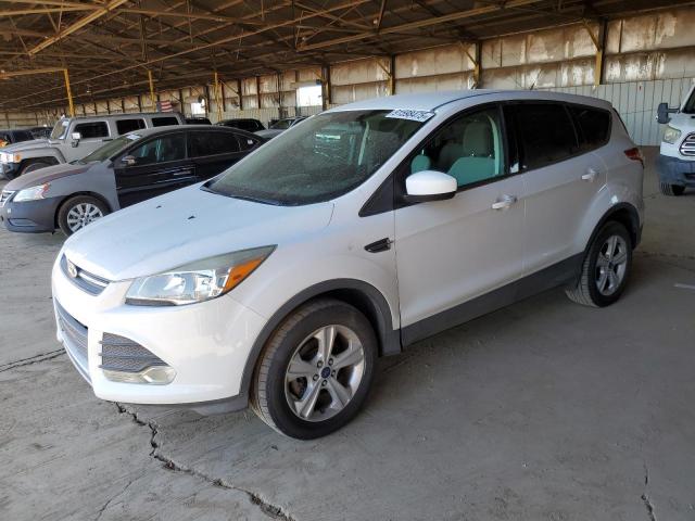 Global Auto Auctions: 2014 FORD ESCAPE SE