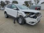 Lot #3318027381 2019 FORD ESCAPE SE