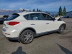 Lot #3303937727 2017 INFINITI QX50
