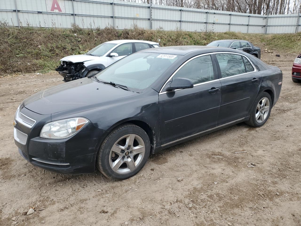 CHEVROLET MALIBU 1LT