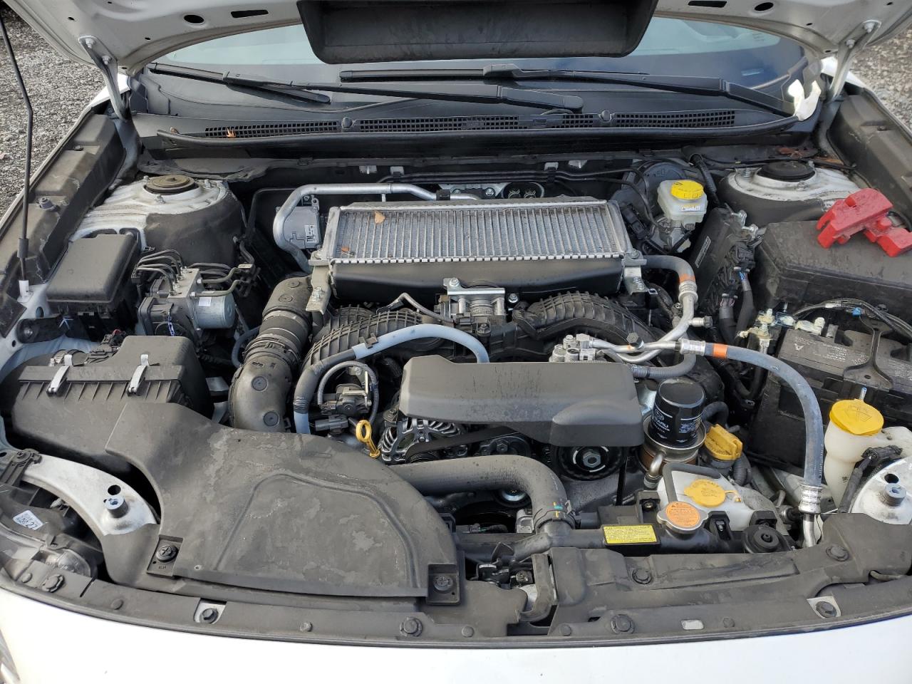 SUBARU OUTBACK WILDERNESS