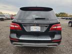 Lot #3301590620 2012 MERCEDES-BENZ ML 350 BLU