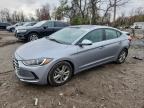 Lot #3294535629 2017 HYUNDAI ELANTRA SE