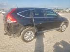 Lot #3310359004 2014 HONDA CR-V EX