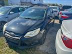 Lot #3316738418 2013 FORD FOCUS SE
