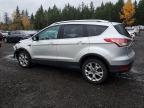 Lot #3305493125 2014 FORD ESCAPE TIT