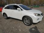 Lot #3298032138 2013 LEXUS RX 350