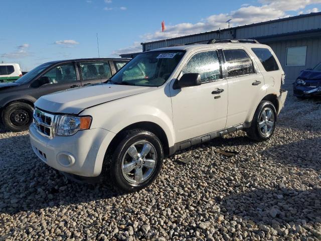 Global Auto Auctions: 2011 FORD ESCAPE XLT
