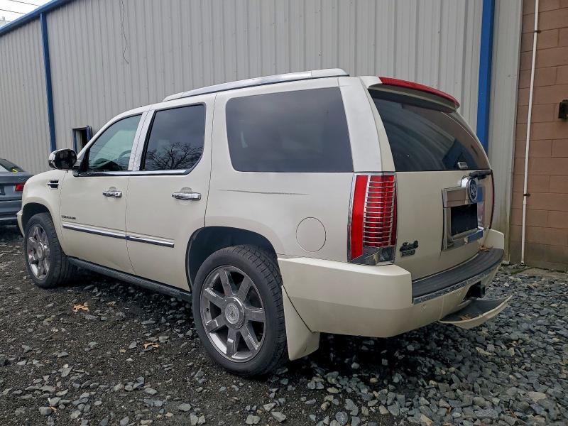 2011 CADILLAC ESCALADE P #3297055538